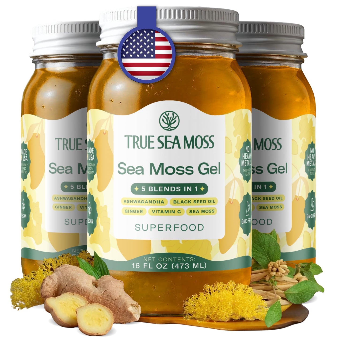 TrueSeaMoss Sea Moss Gel – Made in USA – Wildcrafted Seamoss, Fruits & Jarred Vegetables – Mango, Pack of 3 (Labels may Vary)