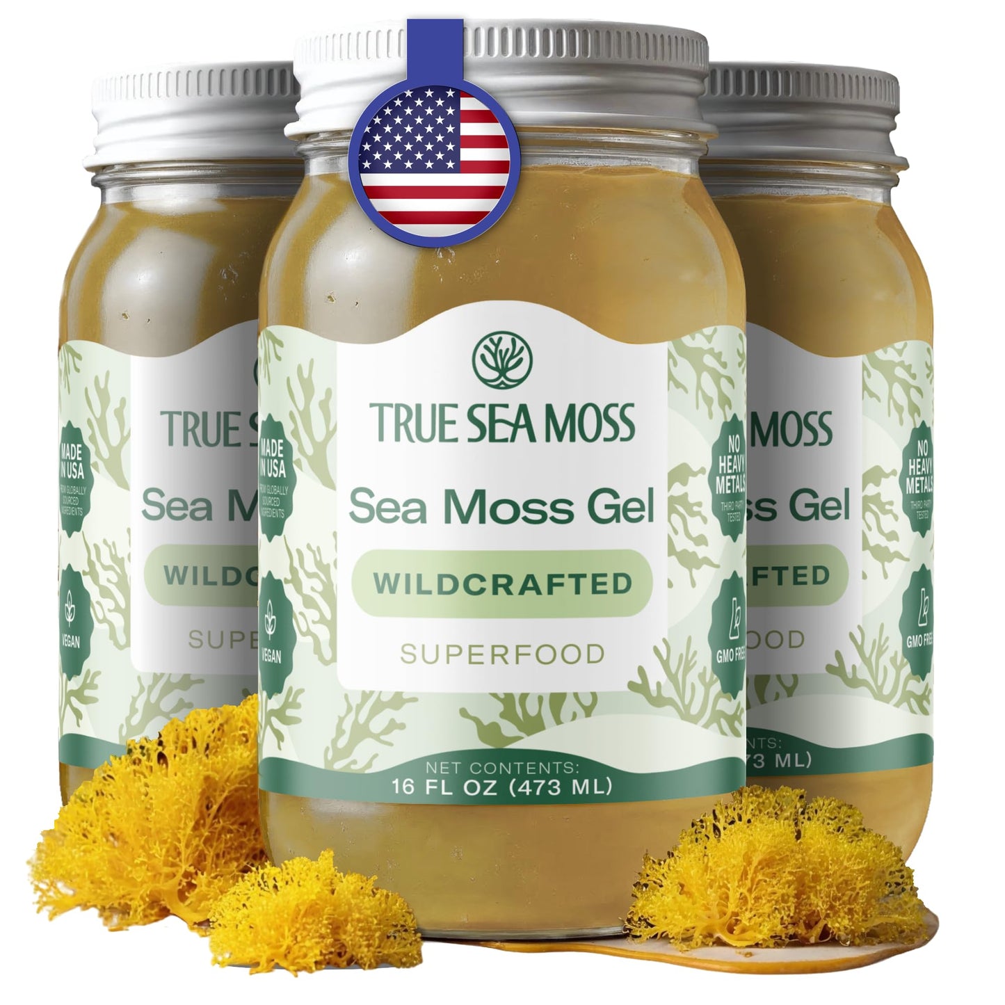 TrueSeaMoss Sea Moss Gel – Made in USA – Wildcrafted Seamoss, Fruits & Jarred Vegetables – Mango, Pack of 3 (Labels may Vary)