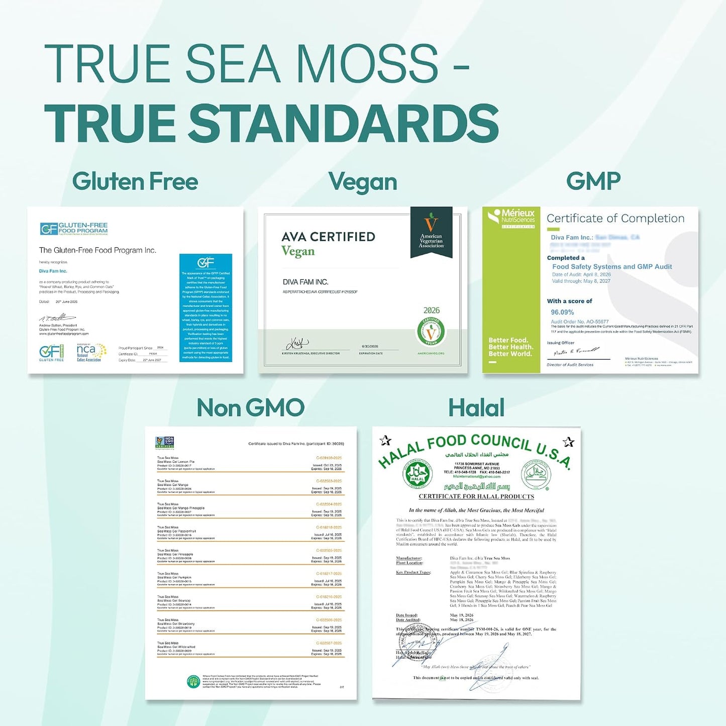 TrueSeaMoss Sea Moss Gel – Made in USA – Wildcrafted Seamoss, Fruits & Jarred Vegetables – Mango, Pack of 3 (Labels may Vary)