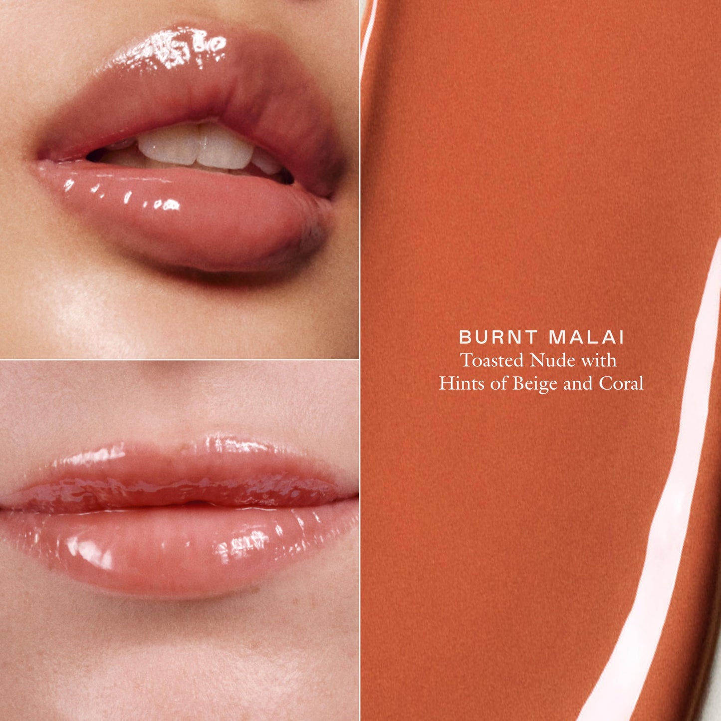 EADEM Tinted Lip Balm, Moisturizing Lip Gloss Tube for Women, Butter Mochi