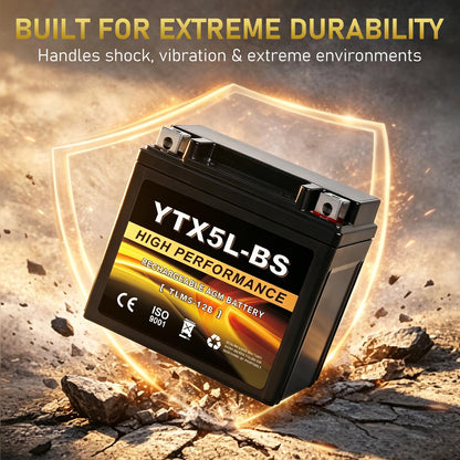 YTX14AH-BS 12V 12Ah Motorcycle Battery, 220CCA Rechargeable Maintenance Free Sealed AGM Battery, Powersport Replacement for ATV, UTV, Scooter