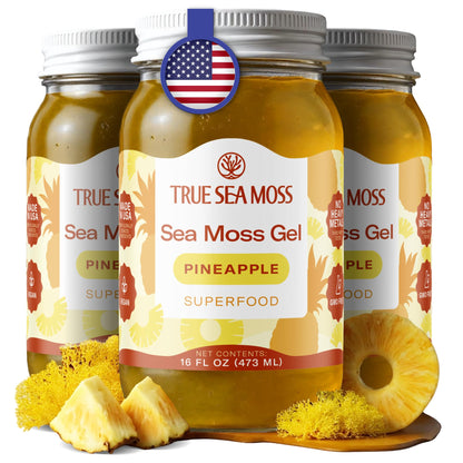 TrueSeaMoss Sea Moss Gel – Made in USA – Wildcrafted Seamoss, Fruits & Jarred Vegetables – Mango, Pack of 3 (Labels may Vary)