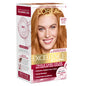 L'Oreal Paris Excellence Crème Permanent Hair Dye, Triple Care Hair Color with Hyaluronic Acid for 100% Gray Coverage, 4 Dark Brown, 1 Kit (Packaging May Vary)