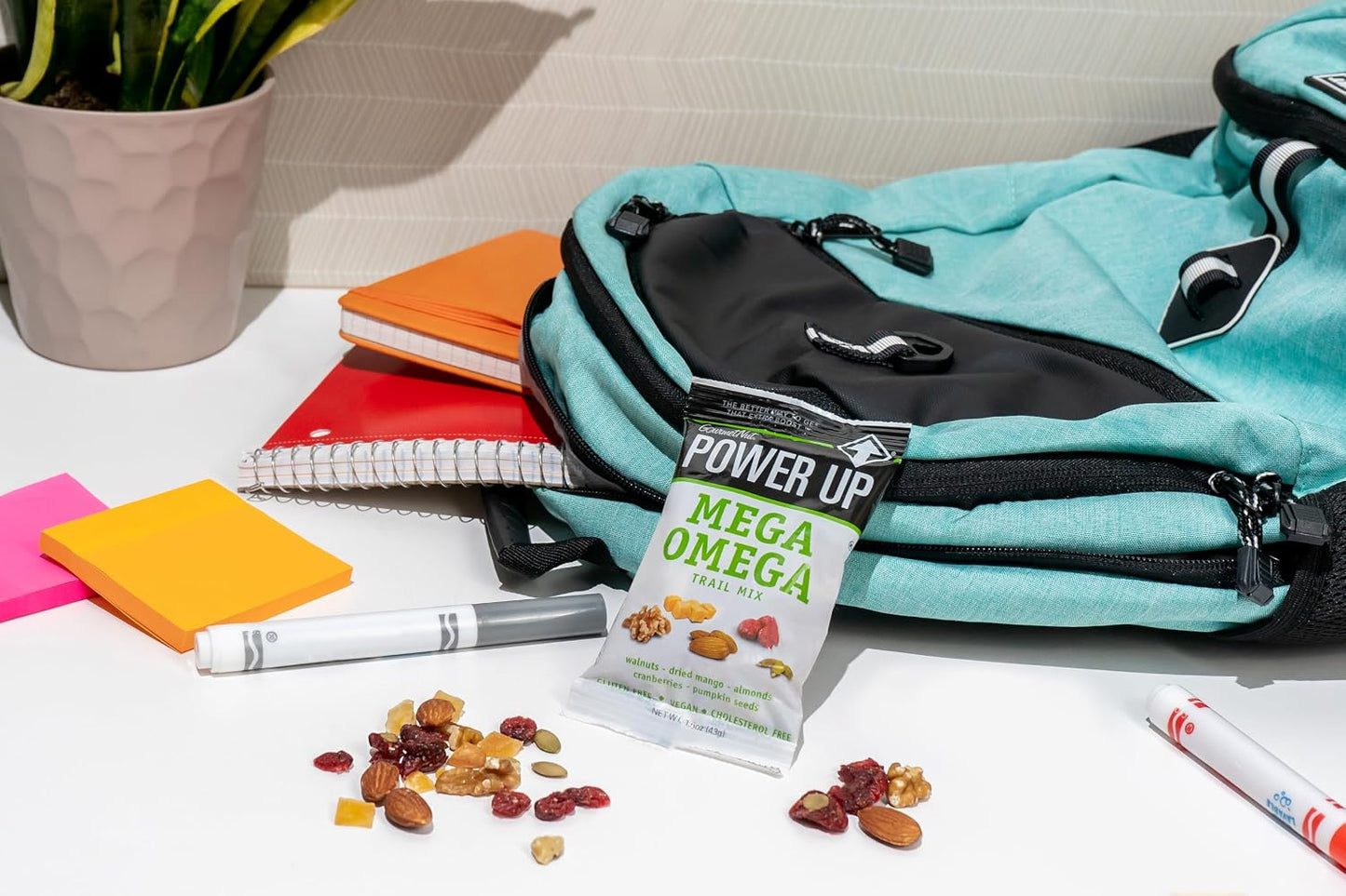 Power Up Trail Mix, Mega Omega Trail Mix, Non-GMO, Vegan, Gluten Free, No Artificial Ingredients, Gourmet Nut, 14 Ounce Bag