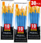 AROIC 10 Pcs Paint Brushes, Acrylic Oil Watercolor Painting Brush Set