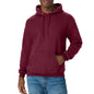 Hanes Men's Hoodie - EcoSmart Fleece Hooded Sweatshirt for Men & Women - Midweight Fleece - Big & Tall Available
