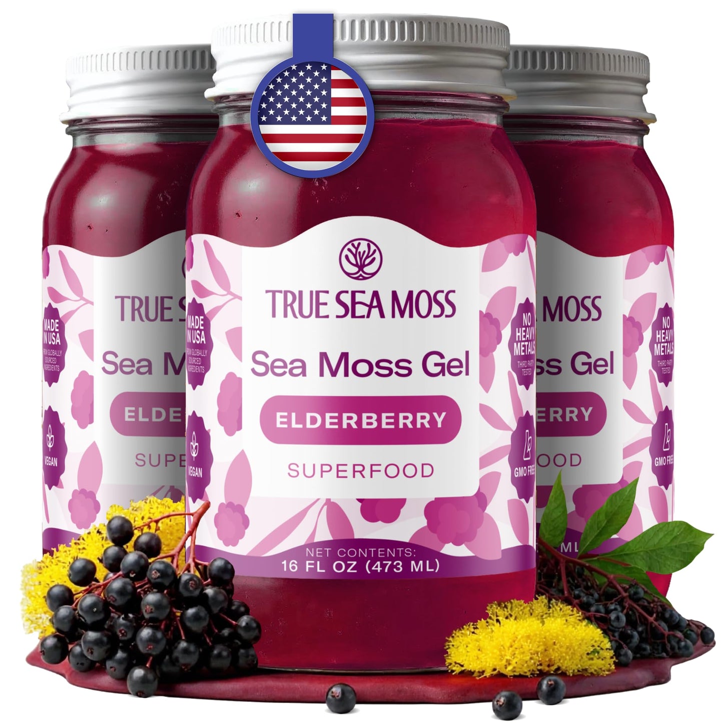 TrueSeaMoss Sea Moss Gel – Made in USA – Wildcrafted Seamoss, Fruits & Jarred Vegetables – Mango, Pack of 3 (Labels may Vary)