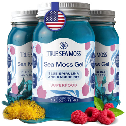 TrueSeaMoss Sea Moss Gel – Made in USA – Wildcrafted Seamoss, Fruits & Jarred Vegetables – Mango, Pack of 3 (Labels may Vary)