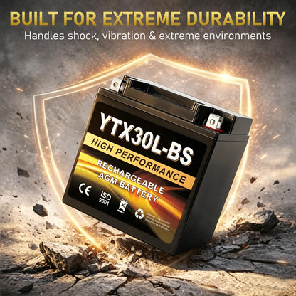 YTX14AH-BS 12V 12Ah Motorcycle Battery, 220CCA Rechargeable Maintenance Free Sealed AGM Battery, Powersport Replacement for ATV, UTV, Scooter