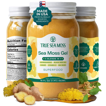 TrueSeaMoss Sea Moss Gel – Made in USA – Wildcrafted Seamoss, Fruits & Jarred Vegetables – Mango, Pack of 3 (Labels may Vary)