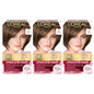 L'Oreal Paris Excellence Crème Permanent Hair Dye, Triple Care Hair Color with Hyaluronic Acid for 100% Gray Coverage, 4 Dark Brown, 1 Kit (Packaging May Vary)