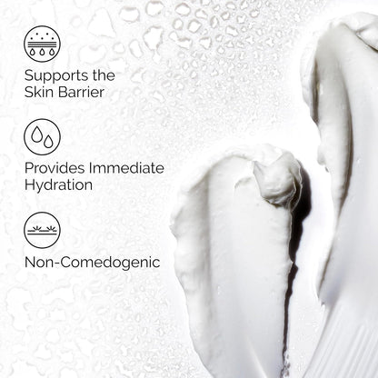 The Ordinary Natural Moisturizing Factors + Hyaluronic Acid, Lightweight Hydrator for Skin Barrier Support & Hydration
