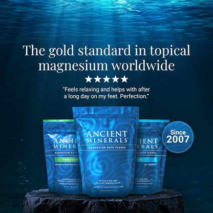 Ancient Minerals Magnesium Bath Flakes – Pure Zechstein Magnesium Chloride for Soaking and Whole-Body Replenishment, 8 lb Bag (Pack of 3)