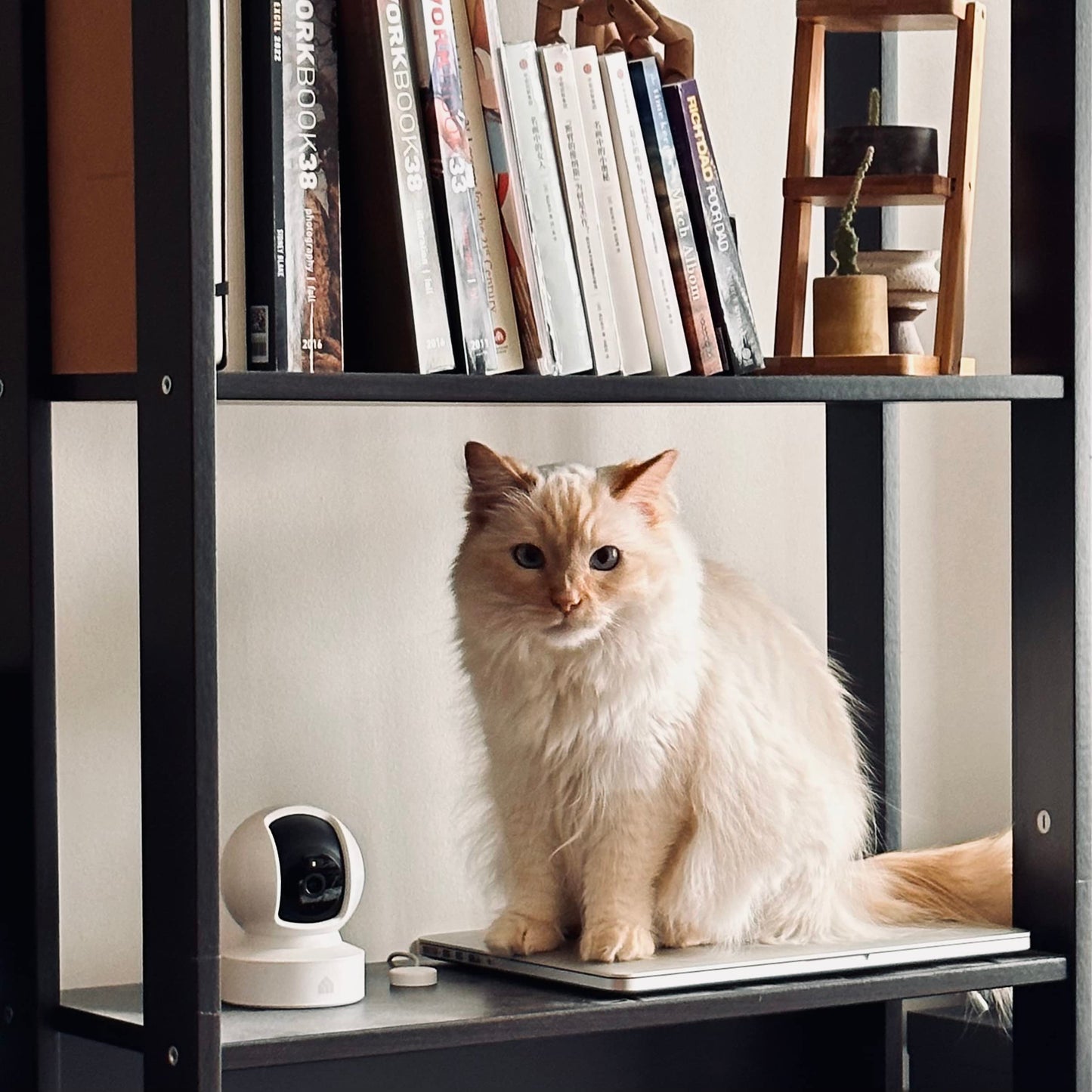 Kasa 1080p Indoor Pan/Tilt Wired Security Camera, Baby & Pet Monitor, EC71