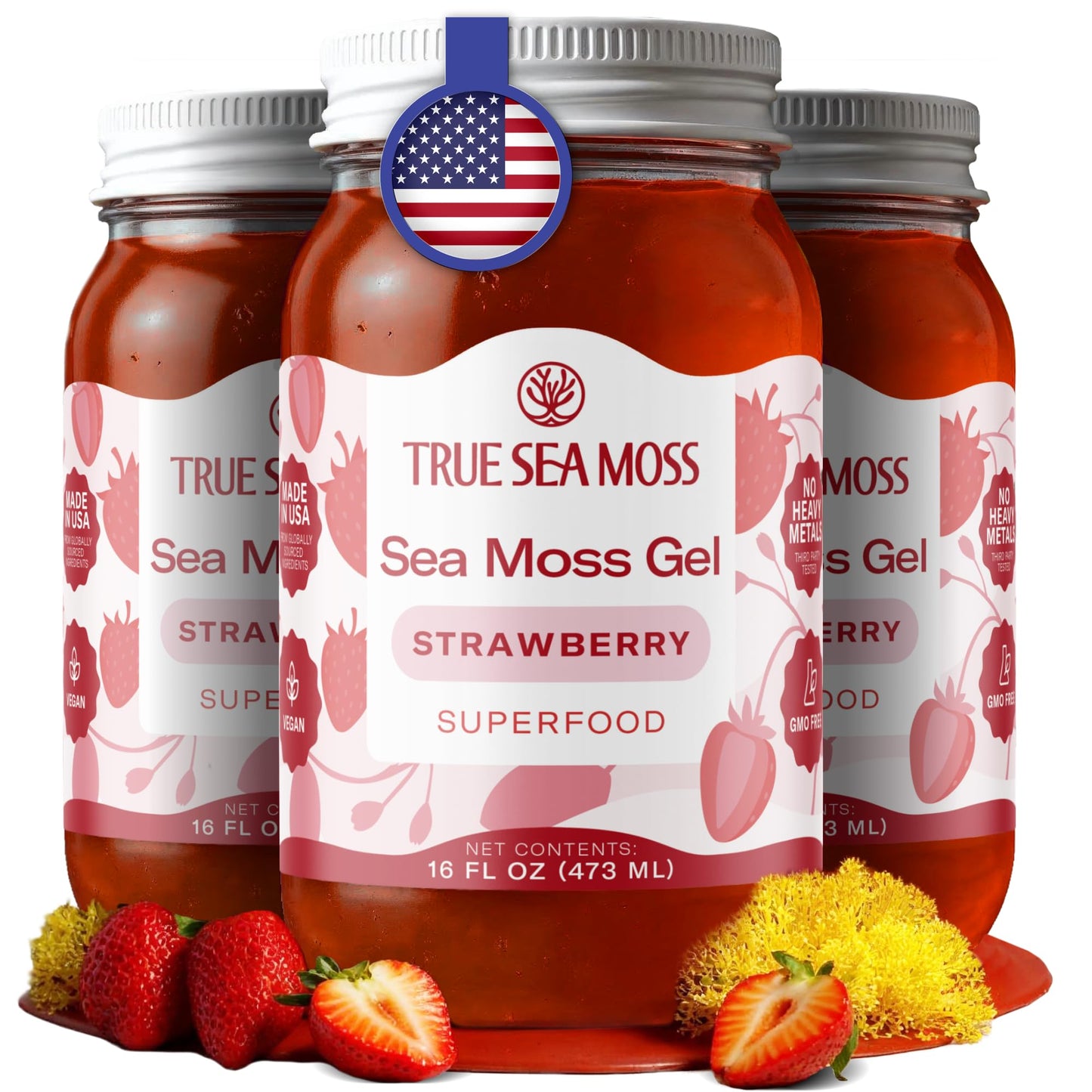 TrueSeaMoss Sea Moss Gel – Made in USA – Wildcrafted Seamoss, Fruits & Jarred Vegetables – Mango, Pack of 3 (Labels may Vary)