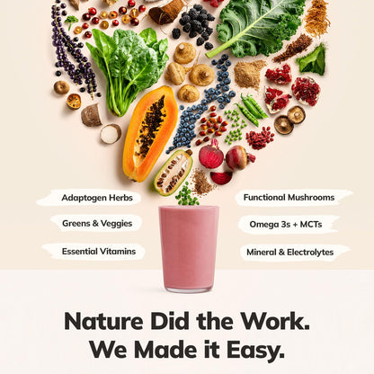 Ka’Chava Whole Body Meal Shake Chai 2 lb – Vegan Protein Powder with 85+ Superfoods & Greens – Plant-Based Meal Replacement with Probiotics & Digestive Enzymes – Gluten & Dairy Free (15 Servings)